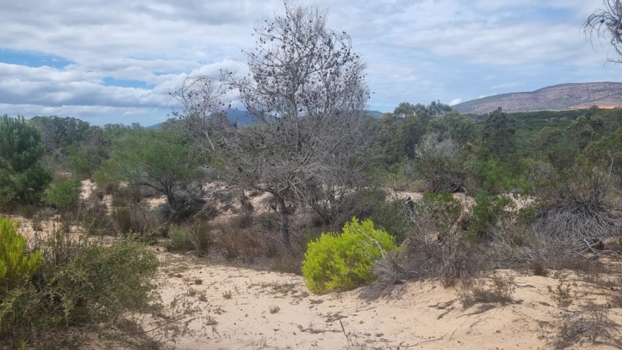 3 Bedroom Property for Sale in Albertinia Western Cape